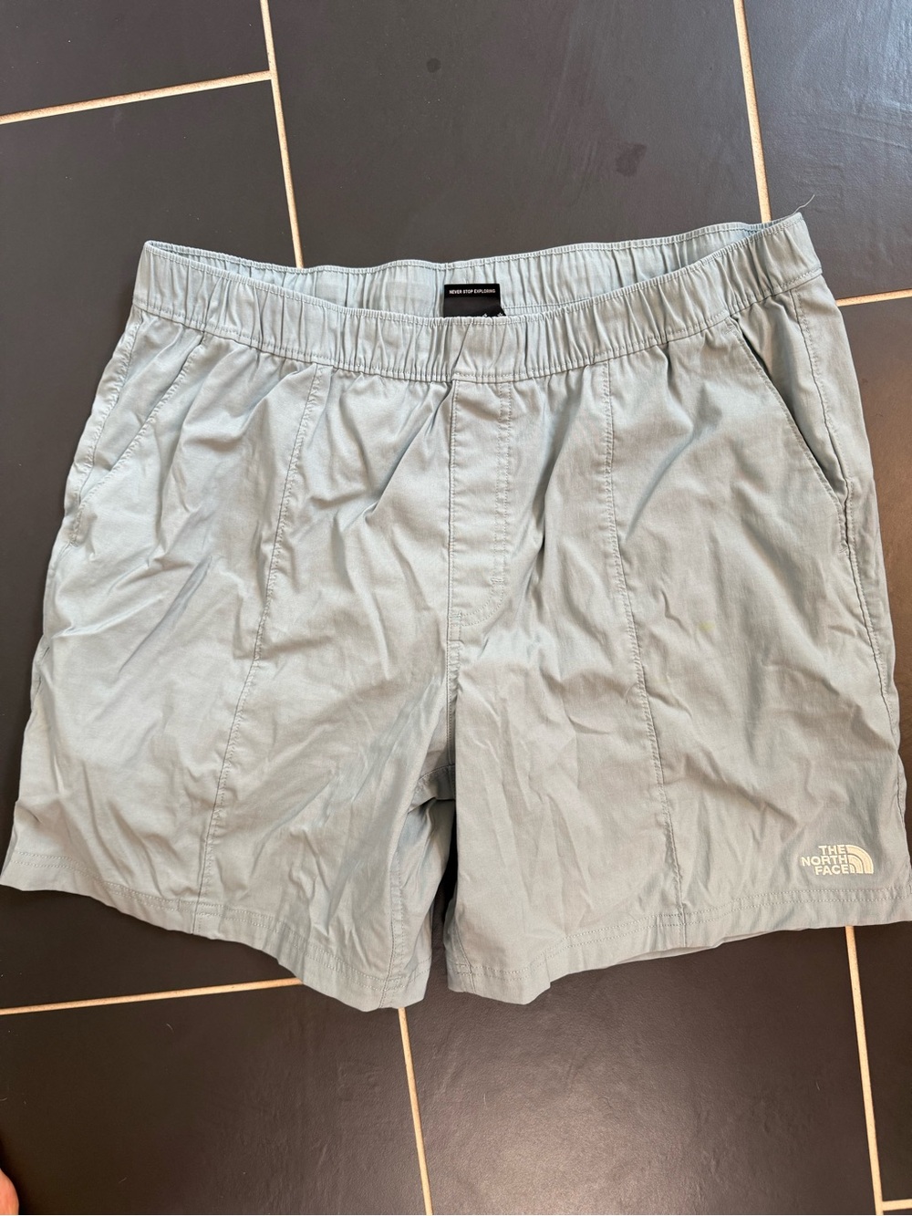 The North Face Men’s Light Blue Athletic Shorts